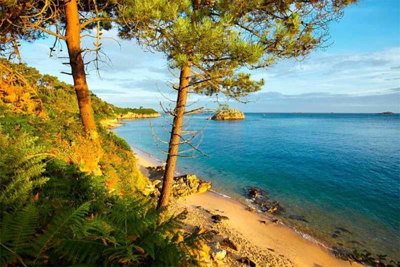 Gite De Charme Entre Terre Et Mer Villa Plougonven Ngoại thất bức ảnh